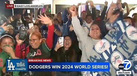 Dodger fans celebrate across Los Angeles, Southern California after World Series win