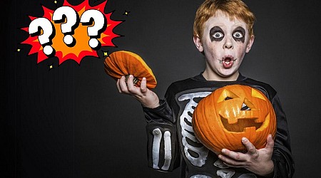 What You Need To Know If You Are Trick-or-Treating in Minnesota