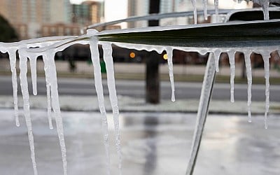 What were the 5 coldest days in North Texas?