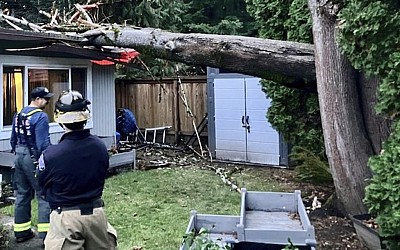 1 dead, half a million without power in Northwest