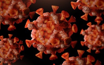 More Severe Mpox Variant Found in the U.S. for the First Time. Here’s What We Know