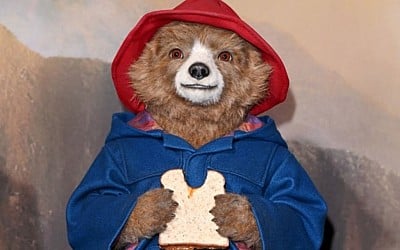 Google ganha easter egg com sanduíches do filme Paddington; veja como acessar