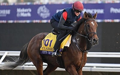 Betting the Breeders' Cup: Is it time for City of Troy?