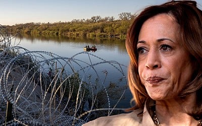 There Is a Very Wrong Lesson to Take From Kamala Harris’ Performance Among Black and Latino Voters