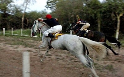 Carreras cuadreras: una tradicional competencia siempre esperada