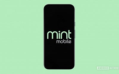 Does Mint Mobile work in Canada or are you out of luck?