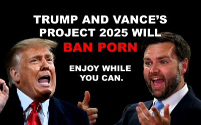 Meet the Democrats using porn ads to convince Trump voters to stay home