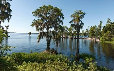 Some Counties Voted for Trump and Approved Climate and Conservation Measures