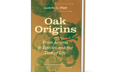 Book Review: How Oak Trees Warn Us about the Limits of Adapting to Climate Change