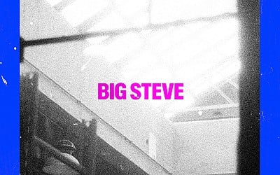 Pet Symmetry – “Big Steve”