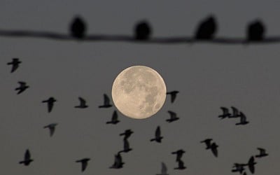 Last supermoon of 2024 wows skywatchers around the world with Full Beaver Moon (photos)