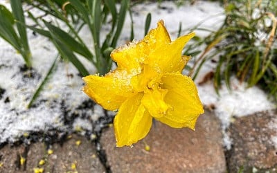 First snow in Staunton? Get ready for temperatures to plummet later this week