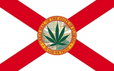 What The Failure Of Florida’s Amendment 3 Means For Cannabis Legalization