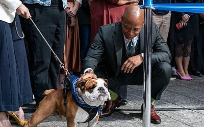 Crypto Trolls Hijacked NYC’s Dog Mayor Competition