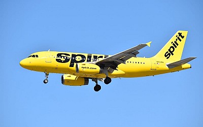 Spirit Airlines plane hit by gunfire; flight attendant wounded