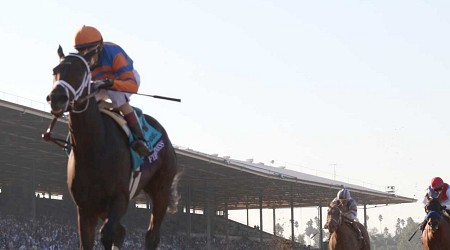 Breeders' Cup 2024: Odds and Predictions for All Races