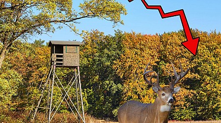 97% Drop! Is This the End of an Era for Minnesota Deer Hunters?