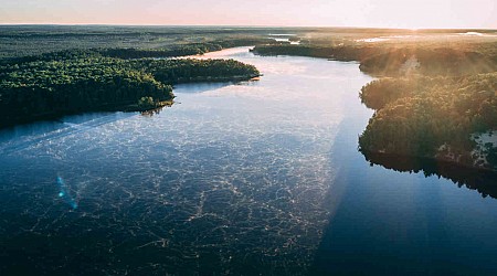 Ibama vs. Petrobras: A polêmica sobre a exploração na Foz do Amazonas