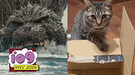 Godzilla Minus One‘s Director Really Wants You to Know He’s a Cat Guy