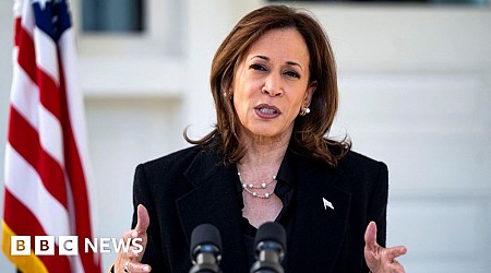 Why Harris campaign moved from joy to warning of Trump’s 'unchecked power'