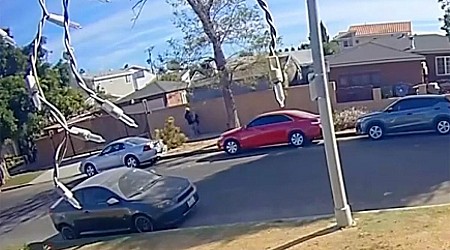 California neighbor saves girl from kidnapping attempt caught on video