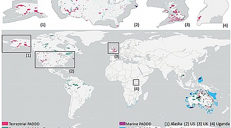 Inadequate compensation for lost or downgraded protected areas threatens global biodiversity: Study