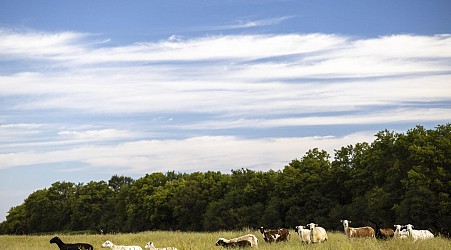 In the US, regenerative farming practices require unlearning past advice