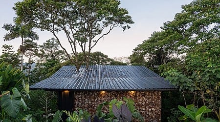 Rooted in nature: Pigüe tree becomes the center of this cabin’s design