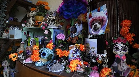 Pets join Mexico's Day of the Dead celebrations, as Fido and Tiger get their own altars