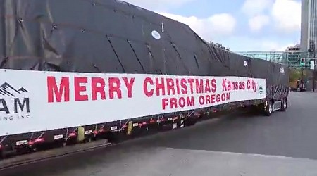 Mayor's Christmas tree arrives at Crown Center