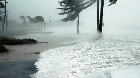 Huracán Milton: ¿Por qué TikTok está lleno de personas que no quisieron evacuarse?