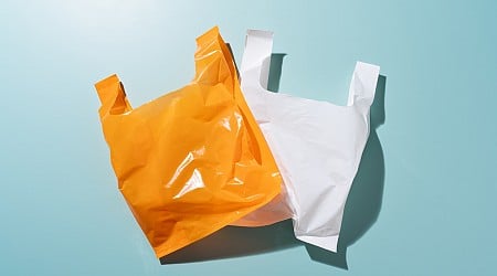 California inspired a wave of plastic bag bans — with an unfortunate loophole