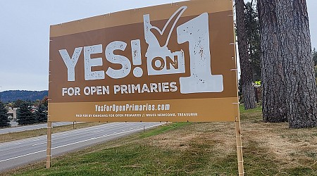 Proposition 1 could reshape Idaho elections