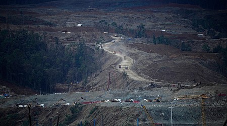 Miners are razing forests to meet surging demand for metals and minerals, report says