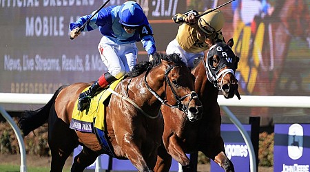 Baffert takes early lead on Road to Kentucky Derby with 1-2 finish in Breeders' Cup Juvenile