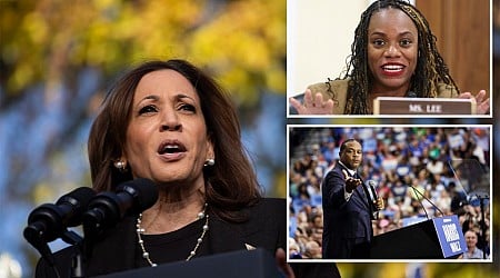 Jewish Democrats in Pennsylvania consider voting for Trump after Harris campaign cozies up to anti-Israel politicians