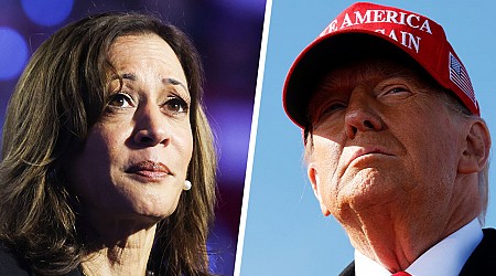 Trump and Harris make their final push with a blitz of rallies in battleground states