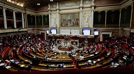 Accord Mercosur : plus de 200 députés de gauche à droite réclament un veto à l’exécutif