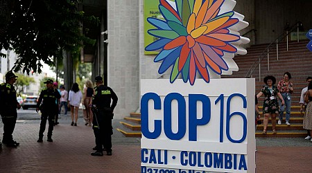 The COP16 biodiversity summit was a big flop for protecting nature