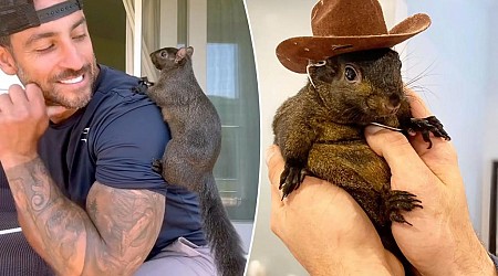 P’Nut the Squirrel’s killing shows even cute critters aren’t safe in New York