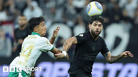 Pig's head thrown on pitch during derby in Brazil