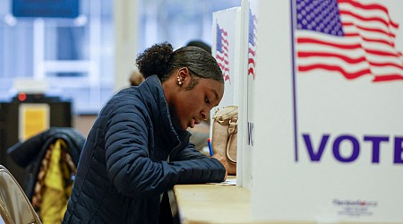 US election: How have the seven swing states voted in the past?