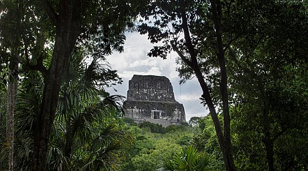 How a PhD Student Discovered a Lost Mayan City From Hundreds of Miles Away