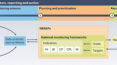 Tracking biodiversity: Researchers outline strengths and challenges in new monitoring framework