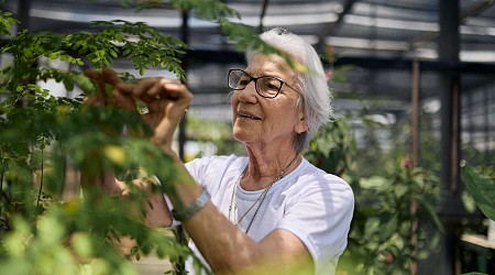 Brazilian nun awarded UN refugee prize