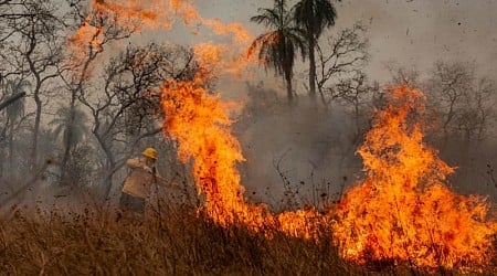 Brazil's indigenous firefighters battling the ever-more rapid flames