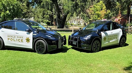 Cops Don’t Love Teslas After All