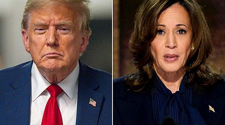 Donald Trump Calls Kamala Harris the R-Word at Dinner with Billionaire Donors: Report