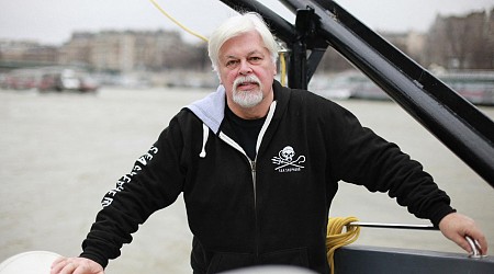 « Monsieur le Président, la France doit accorder l’asile politique à Paul Watson ! » - TRIBUNE