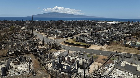 Maui wildfire survivors will get an additional year of housing help from FEMA